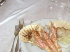 Griiled jumbo shrimps and scallops