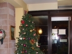 SDC13791